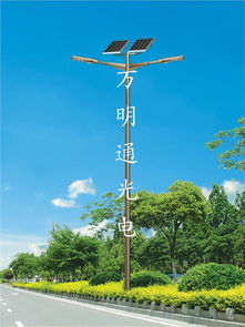 點(diǎn)亮綠色未來 德州萬明通光電引領(lǐng)太陽能照明新紀(jì)元